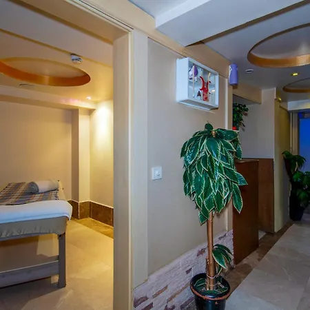 Tilia 4*