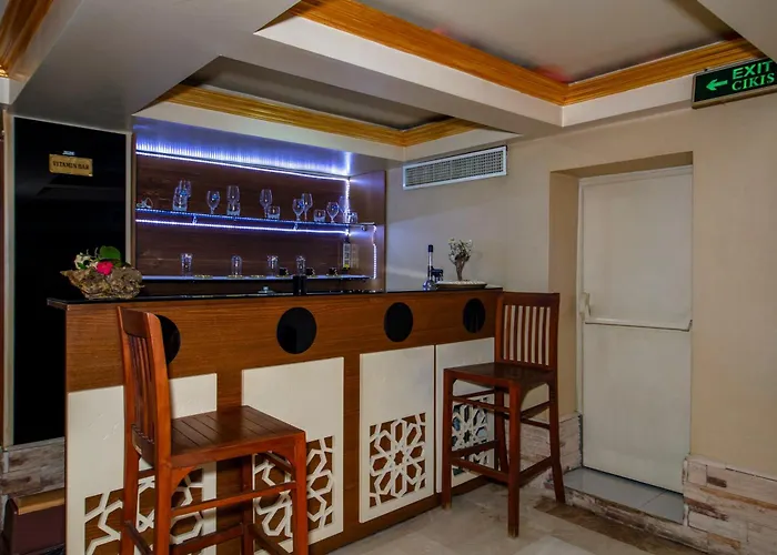 Hotel Tilia Stambuł